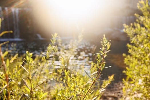 beautiful view of green landscape with foliage and sunlight