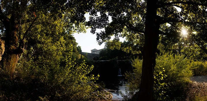 beautiful view of green landscape with foliage and sunlight