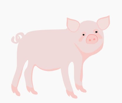 Cartoon pig. Vector illustration.