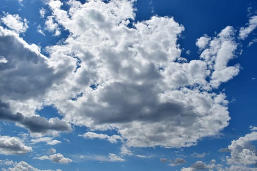 blue storm clouds during spring
