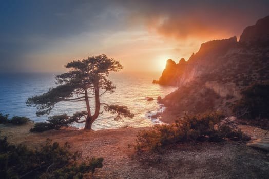 Seascape at sunset. Amazing tree, a mountain, a bright saturated sky, the sun with rays setting behind the mountain. Nature background