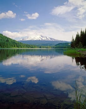 Mt.Hood with Trillium Lake in  Oregon