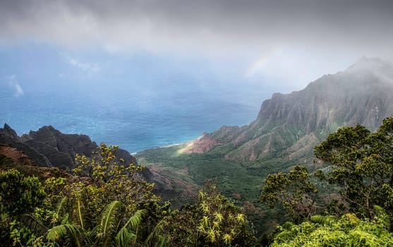 Kauai Island coastal view of lush jungle gardens