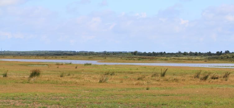 A natural landscape on the North Sea coast in the Netherlands.Eine Naturlandschaft an der Nordseeküste in den Niederlanden.