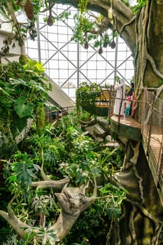 Dubai, UAE, October 8, 2016: The Green Planet Dubai - indoor rainforest environment with tropical birds, animals and plants