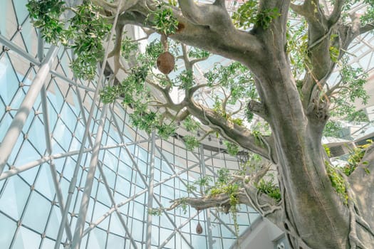 Dubai, UAE, October 8, 2016: The Green Planet Dubai - indoor rainforest environment with tropical birds, animals and plants