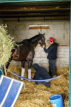 Lexington, Kentucky, April 7, 2022: two stable workers attenting to a race horse in Keeneland stables in Lexington, Kentucky