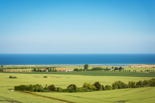 Flower meadow in front of Baltic fjord in Germany