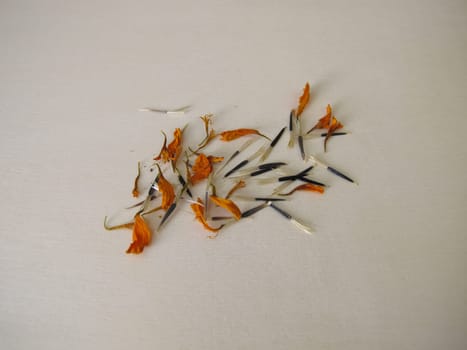Tagetes seeds from the orange flower on a wooden board