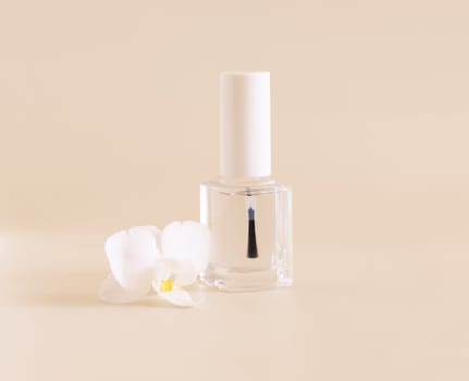 Clear Glass Refillable Bottle with Brush Cap near white orchid flower on light yellow, close up, mockup. Skincare nail product. Exotic natural cosmetics, pastel minimal composition..