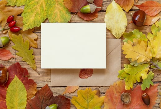 Blank card between colorful autumn leaves and berries on wooden table top view, rustic mockup. Horizontal card over envelope, flat lay, copy space. Thanksgiving, halloween or harvest concept