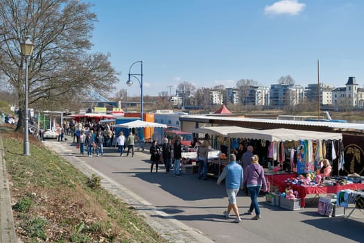 weekly market on the banks of the Elbe in Magdeburg