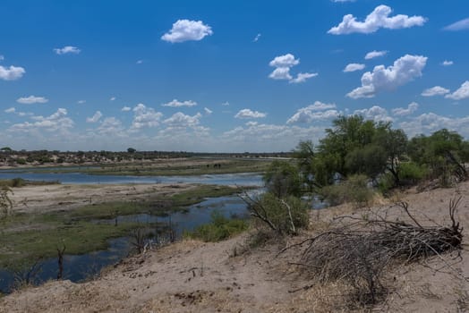 the Boteti river at low tide in summer, Botswana
