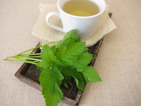 A cup of herbal tea with goutweed herbs