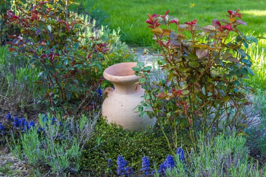 flowerbed in the garden - roses, lavender flowers and clay pot - springtime