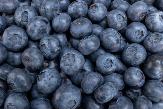 Fresh blueberry summer juicy fruits for a healthy diet. Organic blueberries for a healthy food and life concept.
