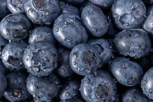 Fresh blueberry summer juicy fruits for a healthy diet. Organic blueberries for a healthy food and life concept.