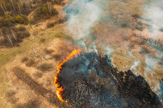 Aerial View. Spring Dry Grass Burns During Drought Hot Weather. Bush Fire And Smoke In Meadow Field. Wild Open Fire Destroys Grass. Nature In Danger. Ecological Problem Air Pollution. Natural Disaster