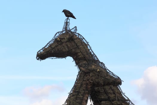 Giraffe head, with Blue sky in the background.Giraffenkopf, mit blauem Himmel im Hintergrund.