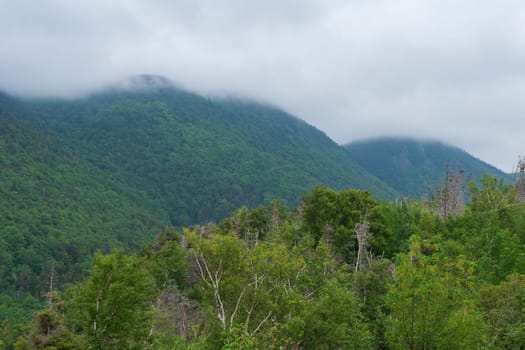 Morning Mist in the Coastal Highlands in Cape Breton Highlands National Park in Nova Scotia