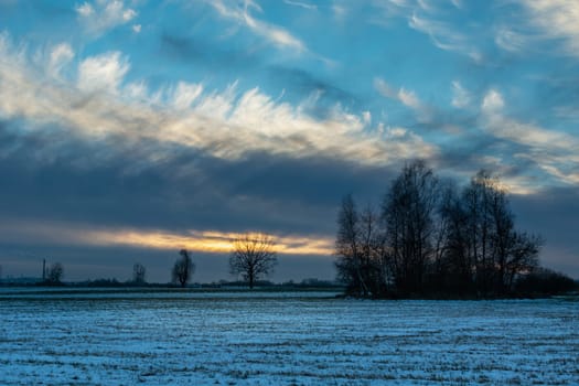 Abstract clouds in the winter evening and trees in the field, Nowiny, Poland