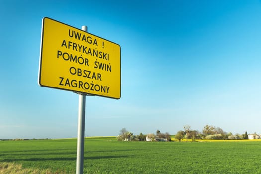 Yellow sign with the inscription in Polish, Attention! African swine fever endangered area, sprin day