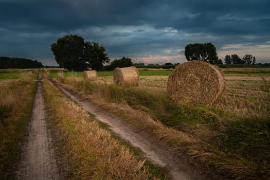 Country road next to a field with hay bales, evening view