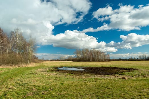 Water and mud in the meadow, spring view, Nowiny, Lubelskie, Poland