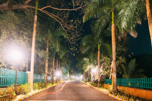 Goa, India. View Of Walkway With Palm Tree In Evening Or Night Illuminations.