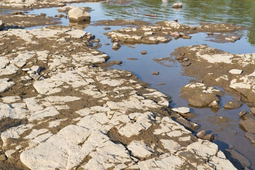 Exposed parched riverbed of the Elbe River in Magdeburg, Germany during severe drought in summer