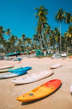 Canacona, Goa, India. Canoe Kayak For Rent Parked On Famous Palolem Beach On Background Tall Palm Tree In Summer Sunny Day.