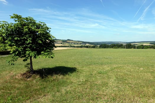 Eifellandschaft bei Müllenbach