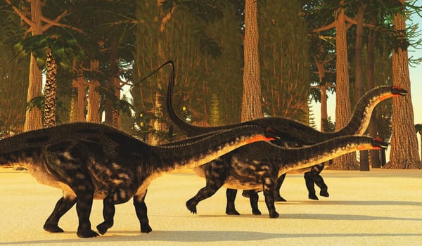 A prehistoric forest during the Jurassic Age of North America dwarfs huge Apatosaurus sauropod dinosaurs.