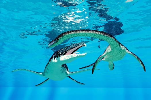 A Liopleurodon goes after a Plesiosaurus aquatic marine reptile during the Jurassic Period.