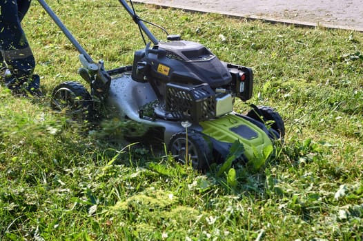 lawn mowing with a lawn mower. High quality photo