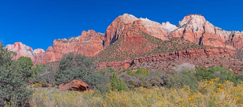 Panoramic View of the Cliffs of Zion in Zion National Park in Utah