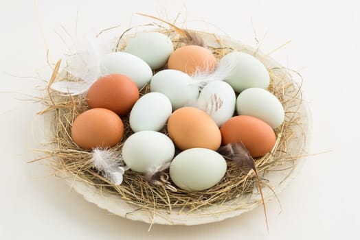 Chicken eggs and eggs from the green-leg chicken in the nest with feathers