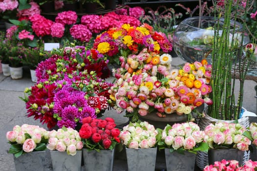 Mix of Potted flowers inside a garden center