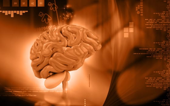 Digital illustration of brain in colour background