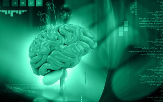 Digital illustration of brain in colour background