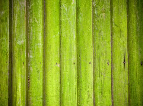 Old mossy wooden background texture