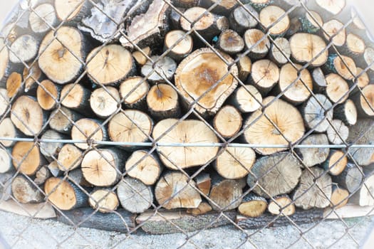 wood trunk behind fence. Wooden background.