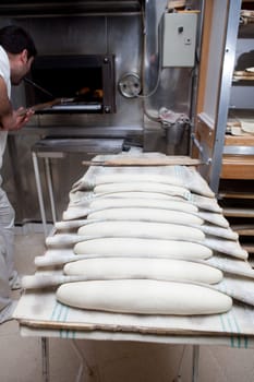 Baker putting kaiser roll dough into the oven. Manufacturing process of spanish bread