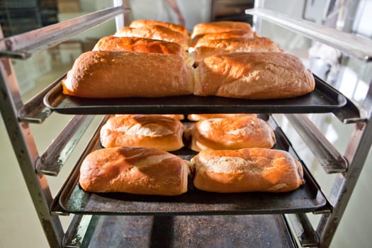 Racks of freshly baked neapolitan cakes