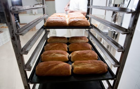Racks of freshly baked neapolitan cakes