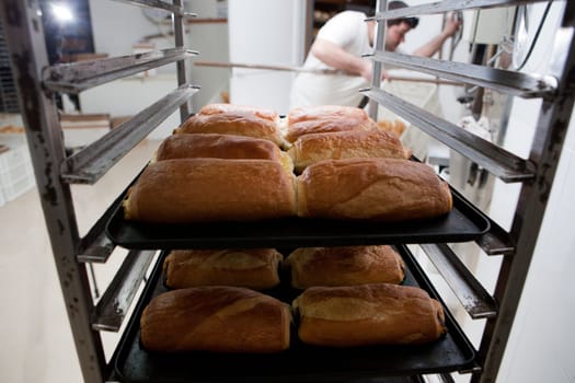 Racks of freshly baked neapolitan cakes