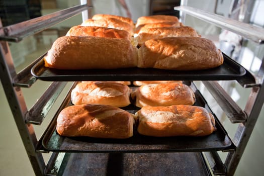 Racks of freshly baked neapolitan cakes