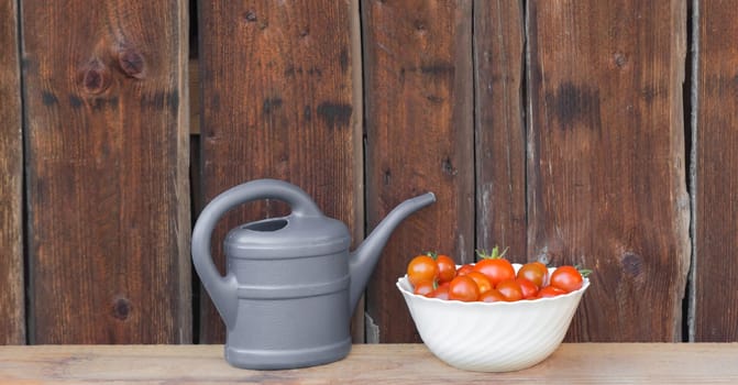 Gardening fresh and juicy vegetables from farming agriculture. Organic nature solanum bio tomato food on wooden copyspace panorama.