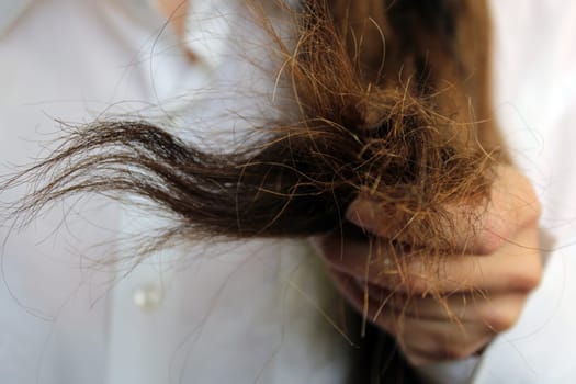 The girl holds the ends of damaged dry hair in her hand. Hair close-up..