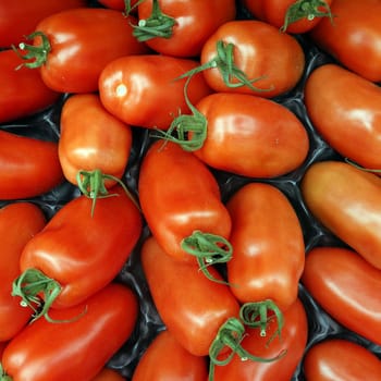 Tomaten (Solanum lycopersicum) im Gemüsegeschäft